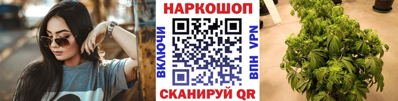 МЕТАДОН Северо-Курильск