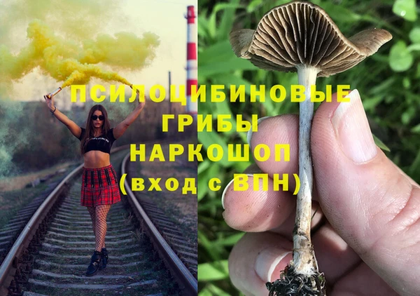эйфоретик Протвино